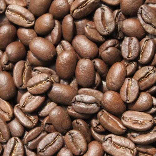 パプアニューギニア～トロピカルマウンテン～