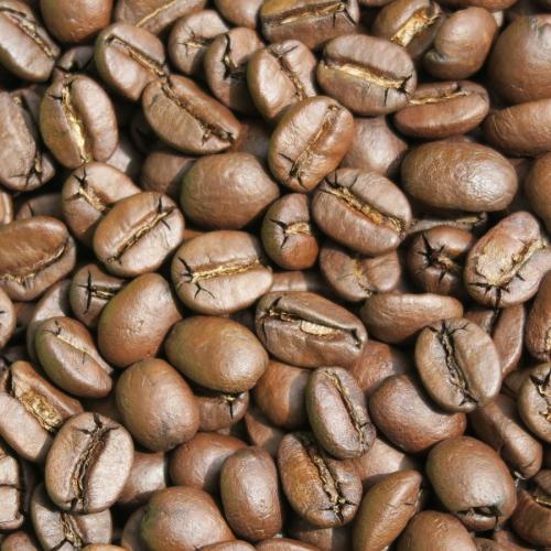 ブラジル～ダテーラ農園～